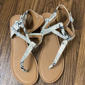 Steve Madden sandals